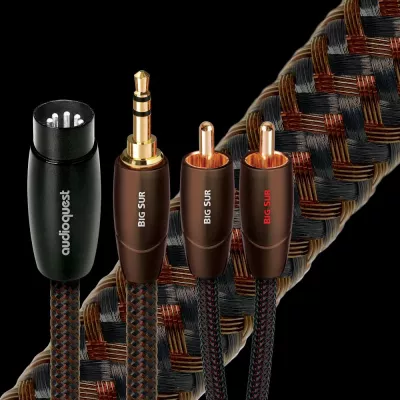 Audioquest Big Sur Analog à Genève | Digistore.ch
