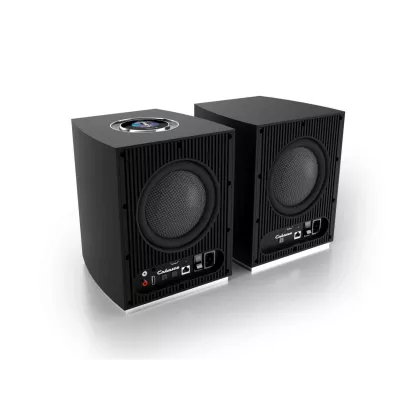 Cabasse Rialto Multiroom Bookshelf Powered Speaker à Genève | Digistore.ch