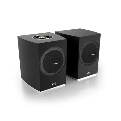 Cabasse Rialto Multiroom Bookshelf Powered Speaker à Genève | Digistore.ch
