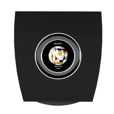 Cabasse Rialto Multiroom Bookshelf Powered Speaker à Genève | Digistore.ch