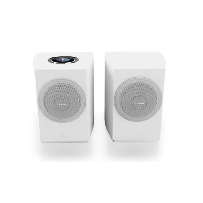 Cabasse Rialto Multiroom Bookshelf Powered Speaker à Genève | Digistore.ch