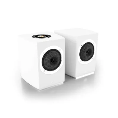 Cabasse Rialto Multiroom Bookshelf Powered Speaker à Genève | Digistore.ch
