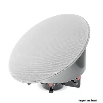 Focal Littora 1000 ICW 10 Inwall Speaker (pièce) à Genève | Digistore.ch