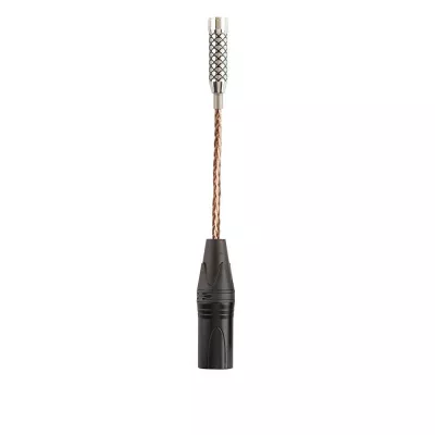 Sendy Audio Peacock Casque Magnétostat ouvert à Genève | Digistore.ch