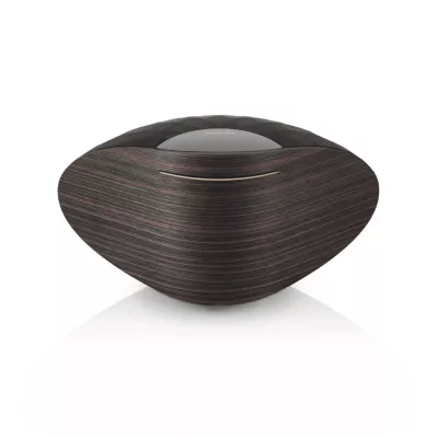 Bowers & Wilkins Formation Wedge Enceinte sans-fil connectée à Genève | Digistore.ch