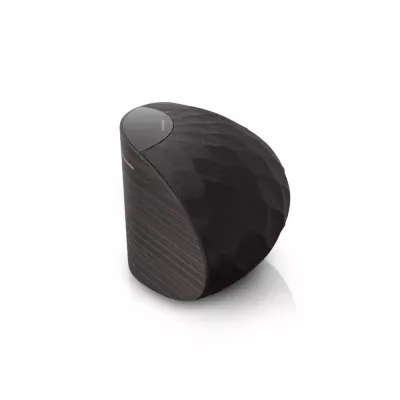 Bowers & Wilkins Formation Wedge Enceinte sans-fil connectée à Genève | Digistore.ch