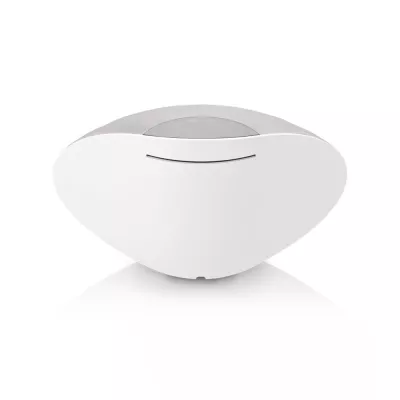 Bowers & Wilkins Formation Wedge Enceinte sans-fil connectée à Genève | Digistore.ch
