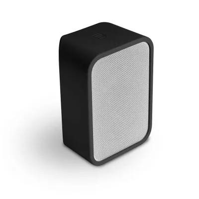 BlueSound Pulse Flex Skin à Genève | Digistore.ch