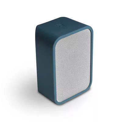 BlueSound Pulse Flex Skin à Genève | Digistore.ch