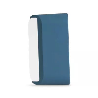 BlueSound Pulse Flex Skin à Genève | Digistore.ch