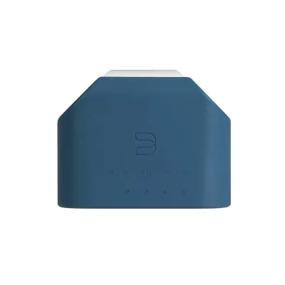 BlueSound Pulse Flex Skin à Genève | Digistore.ch