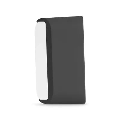 BlueSound Pulse Flex Skin à Genève | Digistore.ch