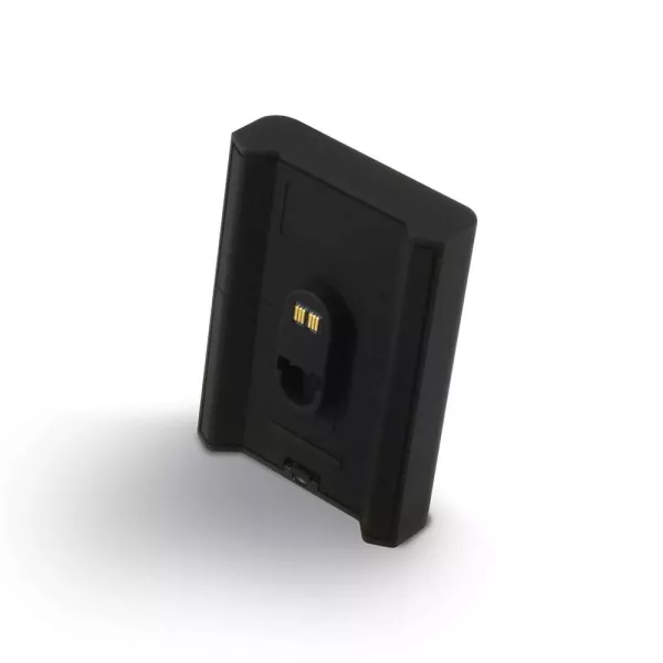 BlueSound BP100 Pulse Flex Battery Pack