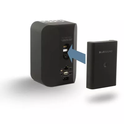 BlueSound BP100 Pulse Flex Battery Pack à Genève | Digistore.ch