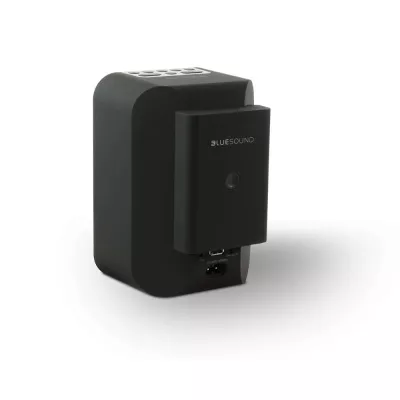 BlueSound BP100 Pulse Flex Battery Pack à Genève | Digistore.ch