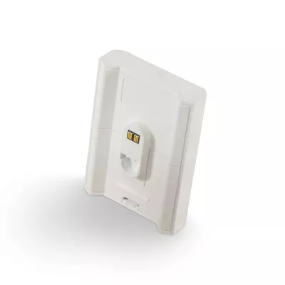 BlueSound BP100 Pulse Flex Battery Pack à Genève | Digistore.ch
