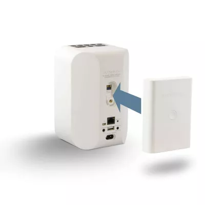 BlueSound BP100 Pulse Flex Battery Pack à Genève | Digistore.ch