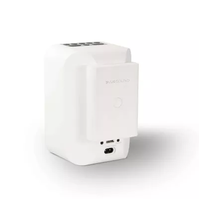BlueSound BP100 Pulse Flex Battery Pack à Genève | Digistore.ch