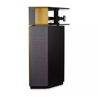 Klipsch Heritage Klipschorn AK6 | Enceintes colonne Higi-End (paire) à Genève | Digistore.ch