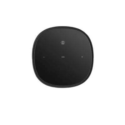 Bowers & Wilkins Formation Flex Enceinte compacte sans-fil connectée (pièce) à Genève | Digistore.ch