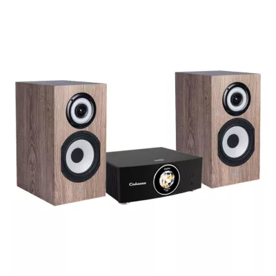 Pack Cabasse Abyss + Minorca MC40 - Ampli Hifi connecté + enceintes à Genève | Digistore.ch