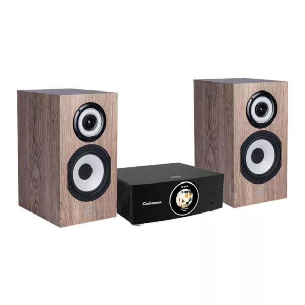 Pack Cabasse Abyss + Minorca MC40 - Ampli Hifi connecté + enceintes