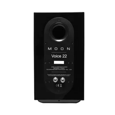 Moon 280D + 250i + Voice 22 | Streamer & DSD DAC + Amplifier  + Speakers à Genève | Digistore.ch