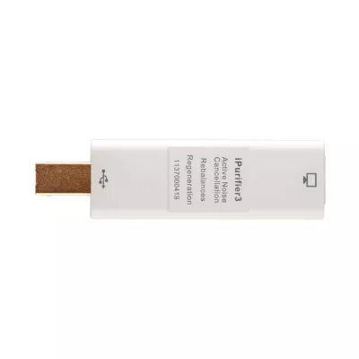 iFi iPurifier3 USB-B vers USB-B | Filtre antiparasite USB à Genève | Digistore.ch