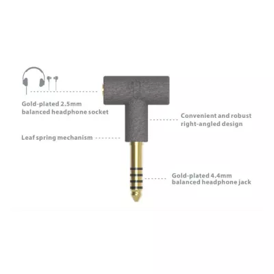iFi Audio Adaptateur 2.5 mm vers 4.4 mm à Genève | Digistore.ch