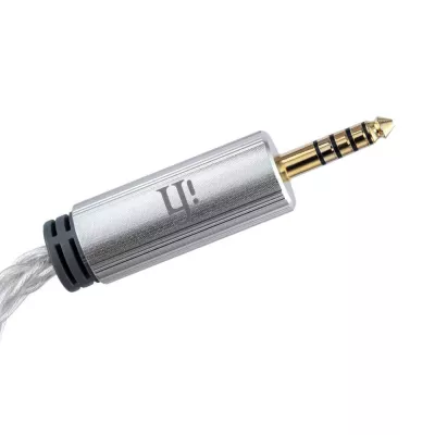 iFi Audio Câble 4.4 mm vers 4.4 mm à Genève | Digistore.ch