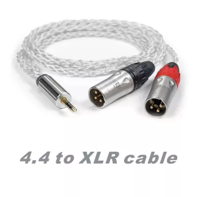 iFi Audio Câble 4.4 mm sur XLR à Genève | Digistore.ch
