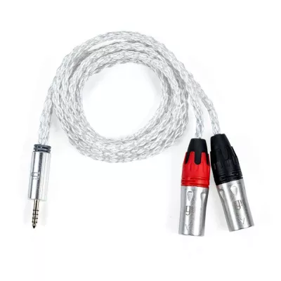 iFi Audio Câble 4.4 mm sur XLR à Genève | Digistore.ch