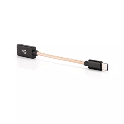 iFi Audio Câble OTG USB-A vers USB-C à Genève | Digistore.ch