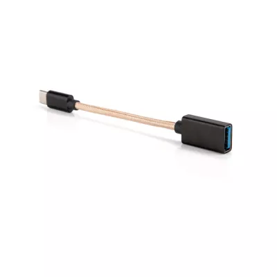 iFi Audio Câble OTG USB-A vers USB-C à Genève | Digistore.ch