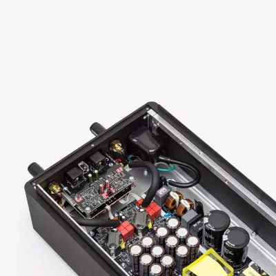 Mola Mola Perca | High-End Stereo Power Amplifier à Genève | Digistore.ch