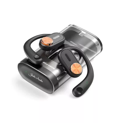 FiiO JW1 | Ecouteurs ouverts True Wireless à Genève | Digistore.ch