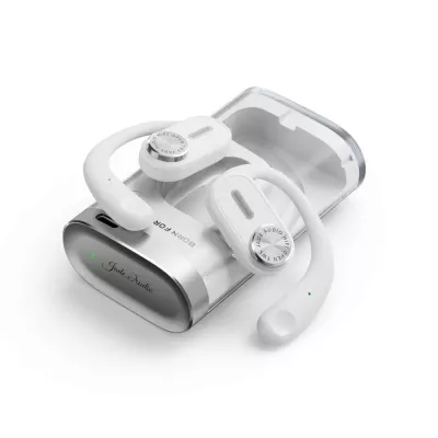 FiiO JW1 | Ecouteurs ouverts True Wireless à Genève | Digistore.ch