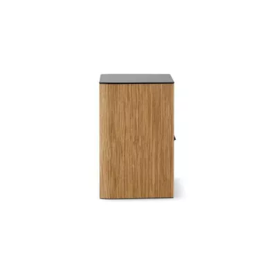 Focal Aria Evo X n°1 Prime Walnut | Enceinte bibliothèque Hi-Fi (pièce) à Genève | Digistore.ch