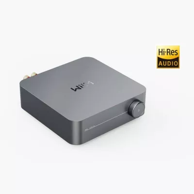 WiiM Amp Space Grey | Multiroom Streaming Amplifier à Genève | Digistore.ch