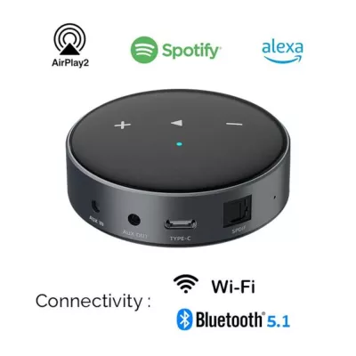 WiiM Mini Black | Hi-Res Multiroom Streamer à Genève | Digistore.ch