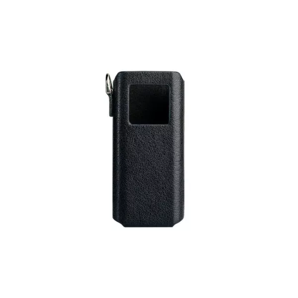 FiiO SK-BTR15 | Etui pour BTR15