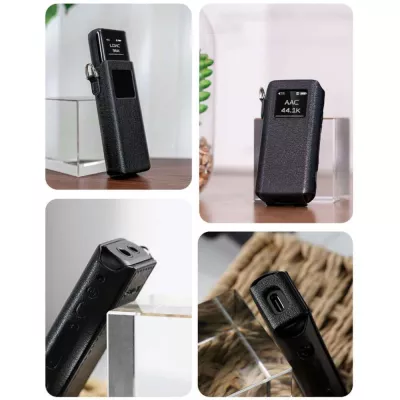 FiiO SK-BTR15 | Etui pour BTR15 à Genève | Digistore.ch