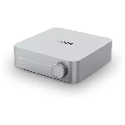 WiiM Amp Silver | Multiroom Streaming Amplifier à Genève | Digistore.ch