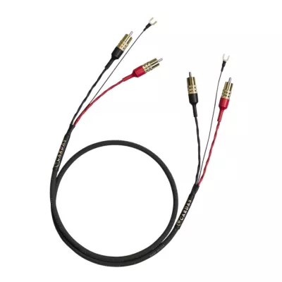 Cardas Iridium Phono 1,25 mètre à Genève | Digistore.ch