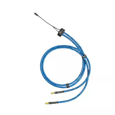 Cardas Clear Beyond Phono X2 1,25 mètre à Genève | Digistore.ch
