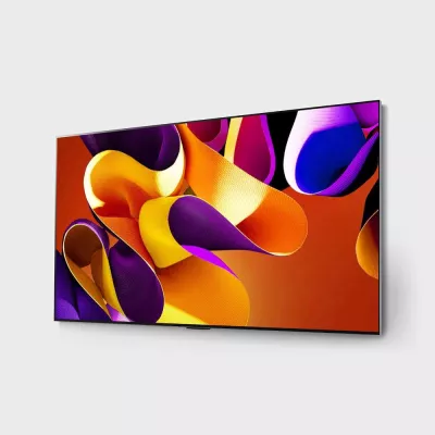 LG OLED65G48LW.AVS (2024) à Genève | Digistore.ch