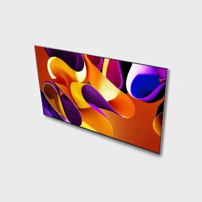 LG OLED65G48LW.AVS (2024) à Genève | Digistore.ch