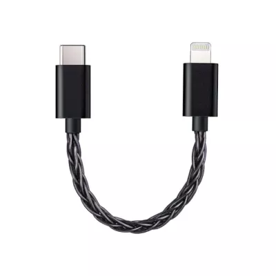 FiiO LT-LT2 | Câble USB-C vers Lightning (Longueur 10cm) à Genève | Digistore.ch