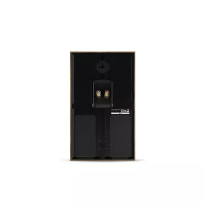 Dali Rubikore On-Wall Natural Walnut | Enceinte Murale Polyvalente pour Stéréo et Multicanal (pièce) à Genève | Digistore.ch