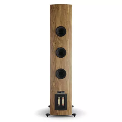 Dali Rubikore 8 Natural Walnut | Enceinte Colonne Puissante pour la Hifi et le Home-Cinéma (paire) à Genève | Digistore.ch
